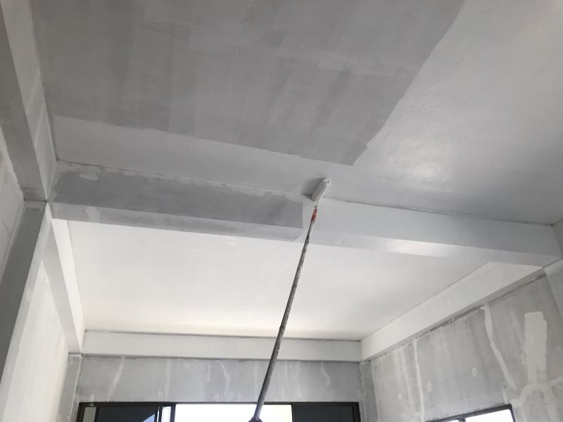 Ceiling Smoothing Service